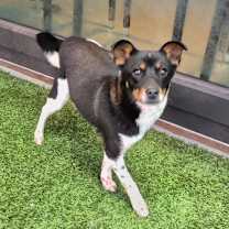 Thumbnail photo of Sarang #2