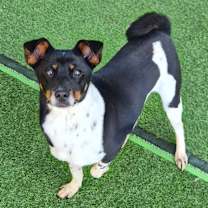 Thumbnail photo of Sarang #3