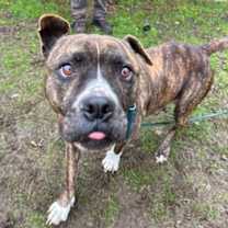 Thumbnail photo of Bounty #1