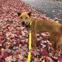 Thumbnail photo of Cici #2