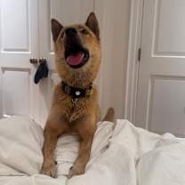 Thumbnail photo of Cici #4