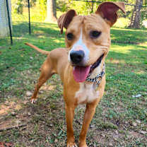 Thumbnail photo of Rudy #1