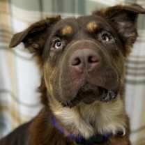 Thumbnail photo of Alaska #3