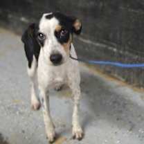 Thumbnail photo of January Valentine~ #3