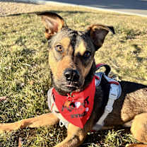 Thumbnail photo of CLIFF #1