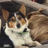 Thumbnail photo of Turbo #3