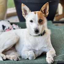 Thumbnail photo of Anne Hathaway #2