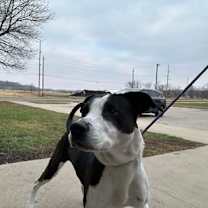 Thumbnail photo of Kiera #3