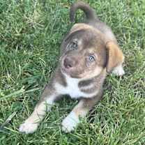 Thumbnail photo of ZEUS #2