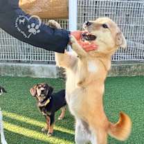 Thumbnail photo of Danbi #4