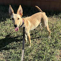 Thumbnail photo of Maddie RW #4