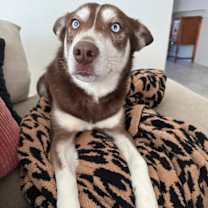 Thumbnail photo of Sunny #4