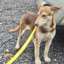 Thumbnail photo of Max 1 #1