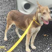 Thumbnail photo of Max 1 #3