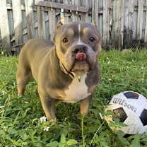 Thumbnail photo of Missa #1