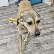 Thumbnail photo of Star #3