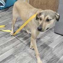 Thumbnail photo of Star #4