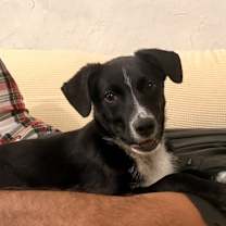 Thumbnail photo of Matt #1