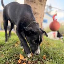 Thumbnail photo of Matt #2