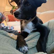 Thumbnail photo of Matt #3