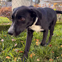 Thumbnail photo of Matt #4