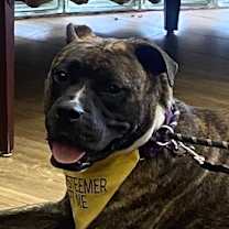 Thumbnail photo of Princess Fiona #2