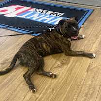 Thumbnail photo of Princess Fiona #3