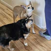 Thumbnail photo of Bubbles #2