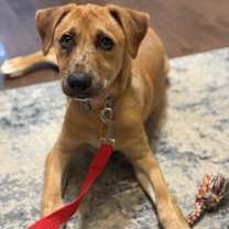 Thumbnail photo of Sanders #2