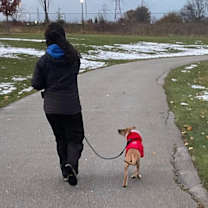 Thumbnail photo of Sanders #3