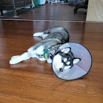 Thumbnail photo of JUNE #2