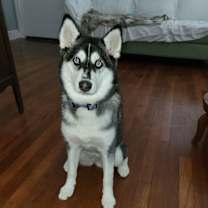 Thumbnail photo of JUNE #3