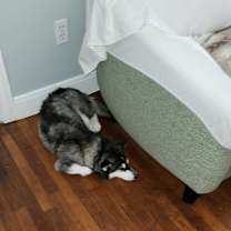 Thumbnail photo of JUNE #4