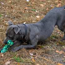 Thumbnail photo of Winifred #3