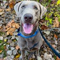 Thumbnail photo of Ranger Boy  #1