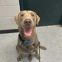 Thumbnail photo of Ranger Boy  #2