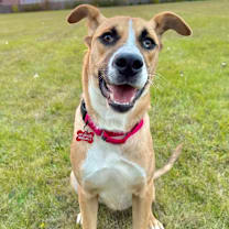 Thumbnail photo of Andy #2