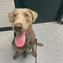 Thumbnail photo of Ranger Boy  #3