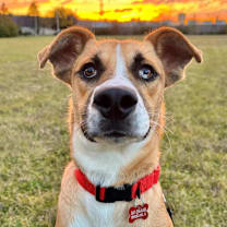 Thumbnail photo of Andy #3