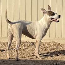 Thumbnail photo of Radar #3