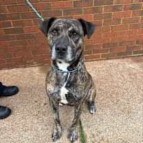 Thumbnail photo of Alan #2