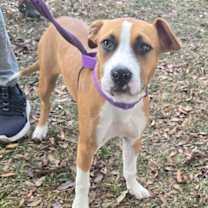 Thumbnail photo of May #2