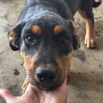 Thumbnail photo of Tim #1