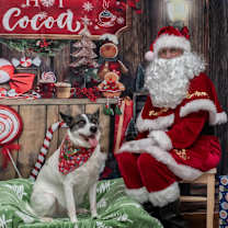 Thumbnail photo of Solo #4