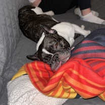 Thumbnail photo of Frank #3