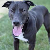 Thumbnail photo of Pops #3