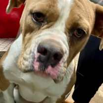 Thumbnail photo of Roxy #3