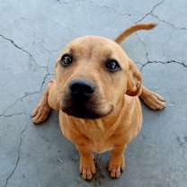 Thumbnail photo of Pretty face #1