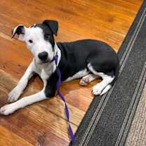 Thumbnail photo of Nate #2