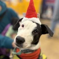 Thumbnail photo of Nate #1